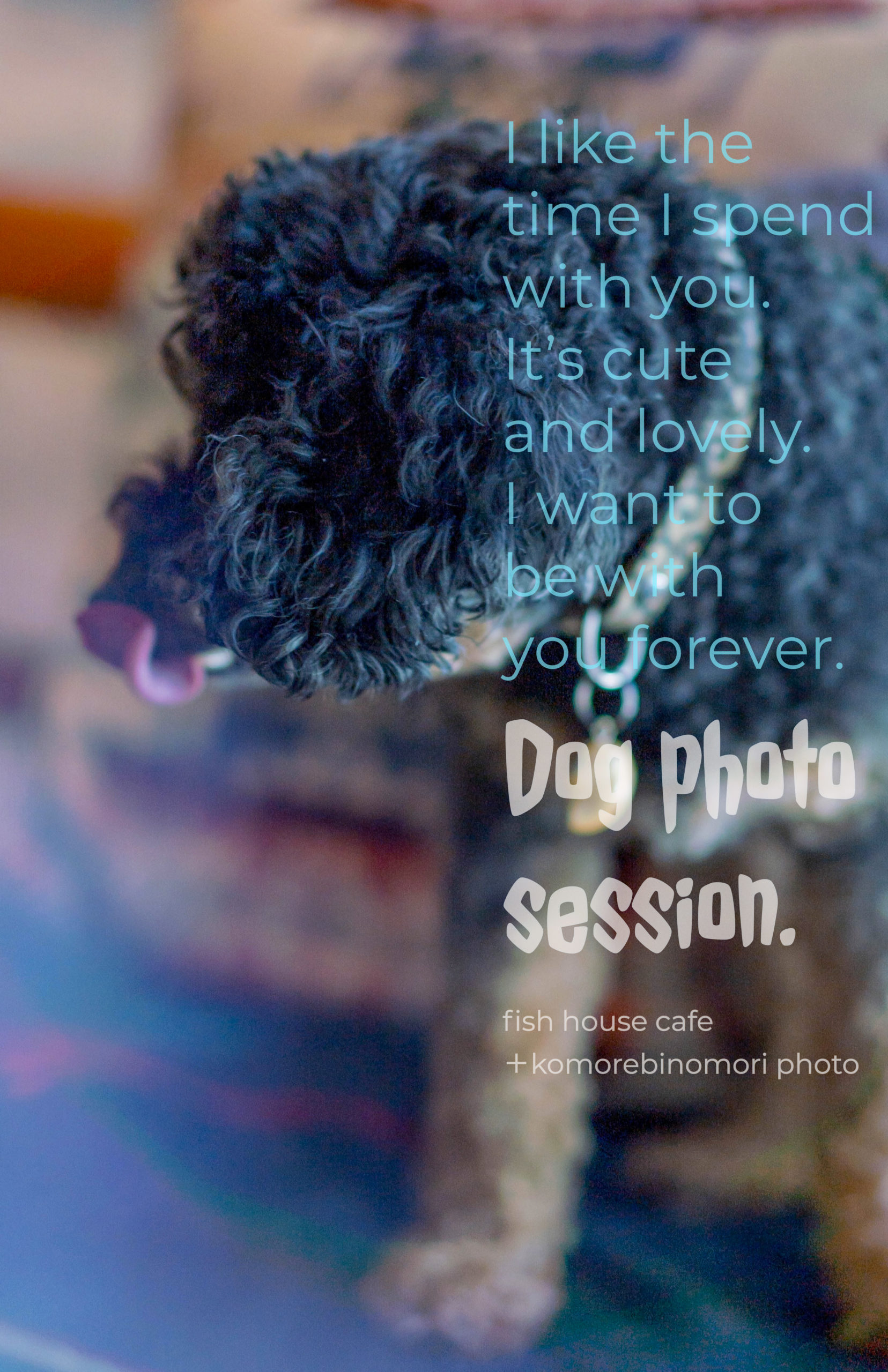 new!🐕‍🦺有馬温泉街にあるFISH HOUSE CAFE ＋ 木漏れ日の森PHOTO コラボ企画 第二弾📢『THE  DOG PHOT SESSION』”可愛い愛犬のポスターが欲しい！ “